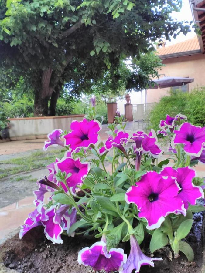 La Corte Di Bafe B&B "Slow Life" Zafferana Etnea Buitenkant foto